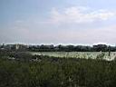 P0000110.JPG