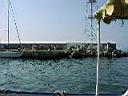 P0000150.JPG