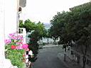 P0000263.JPG
